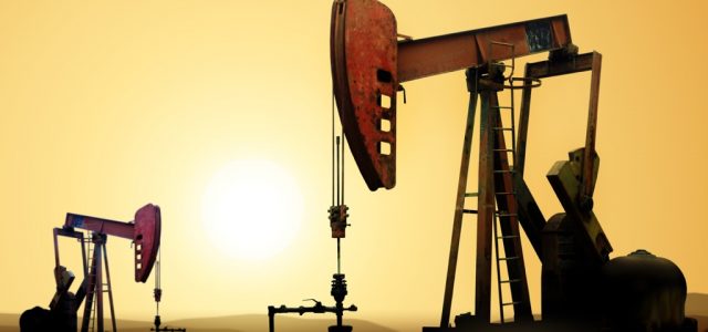 oilplants-640x300